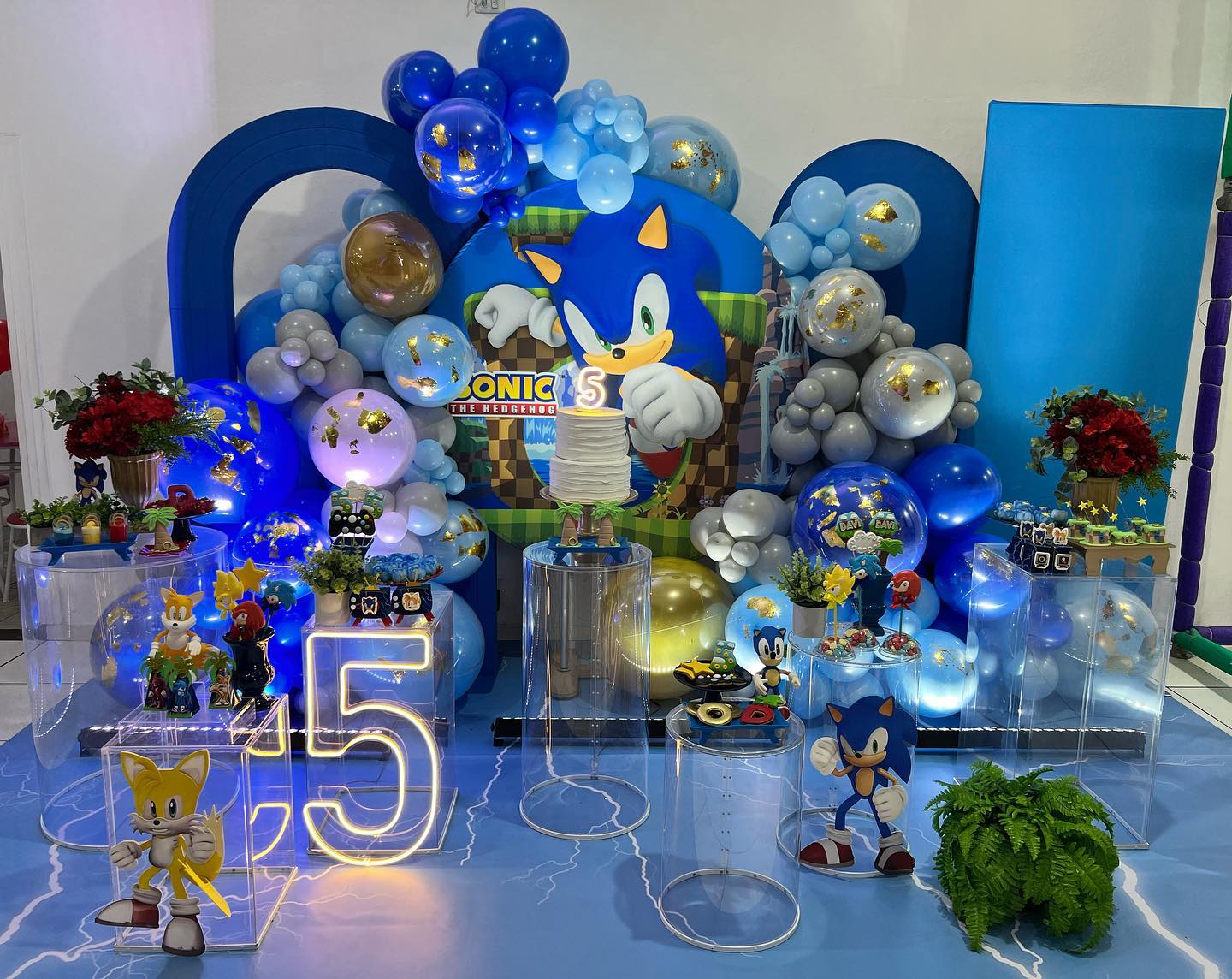 Festa do sonic imprimir